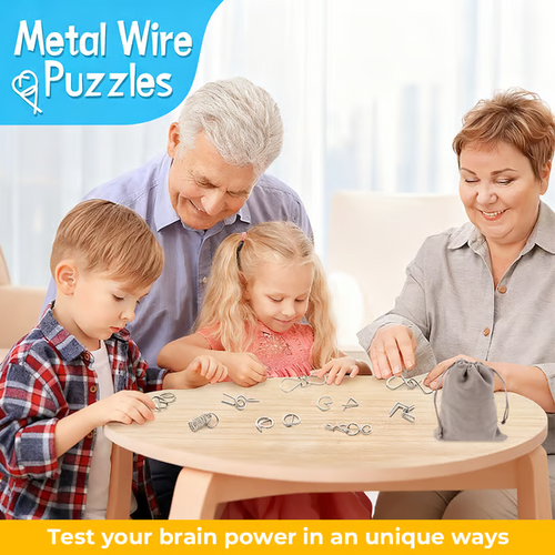 The Best Christmas Gift 🎁 Metal Montessori Puzzle Solving.