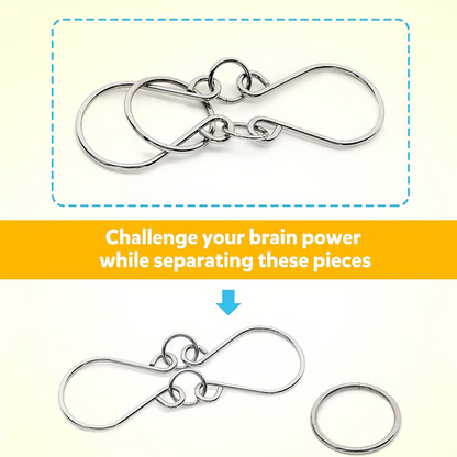 The Best Christmas Gift 🎁 Metal Montessori Puzzle Solving.